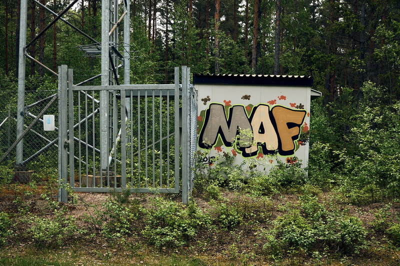 Uploaded image