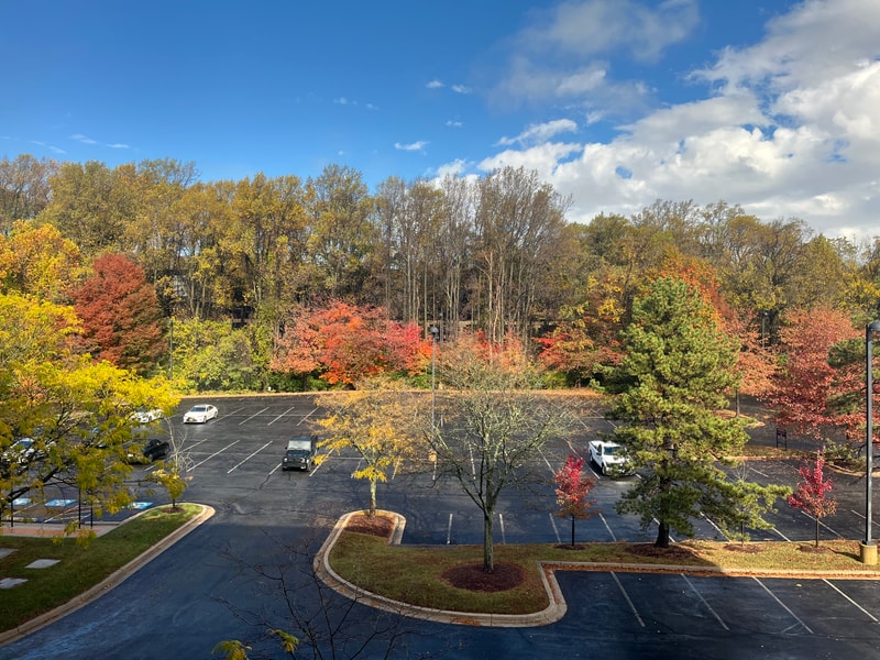 Fall is stunning 📷