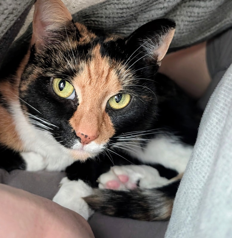 📷 #the100pics - 22