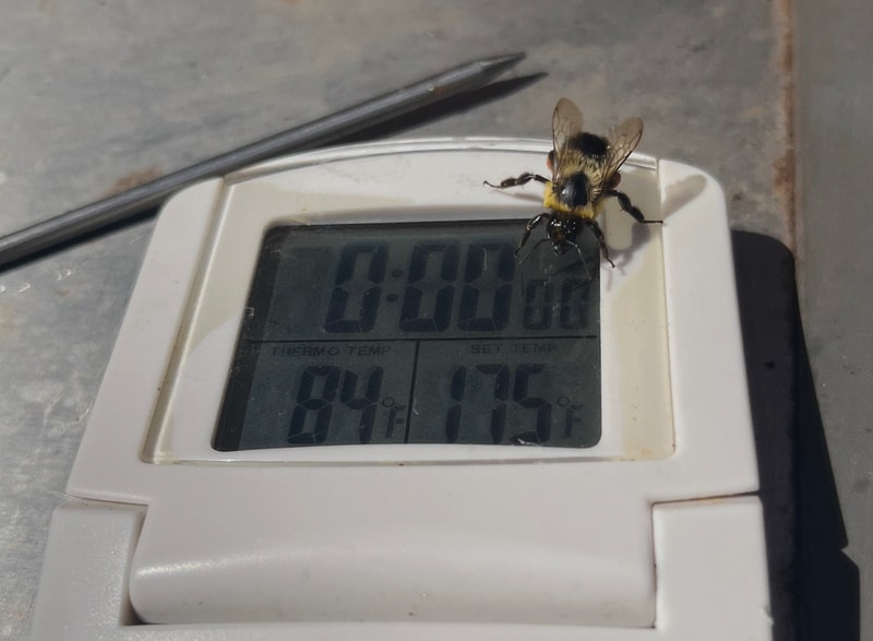 Thermometer inspector
