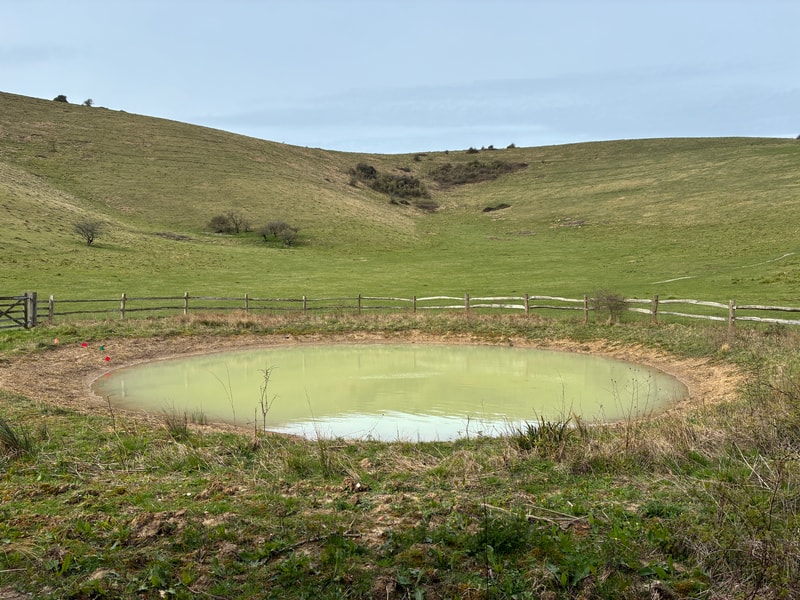 Nice colour, not enticing (Pyecombe, Sussex)