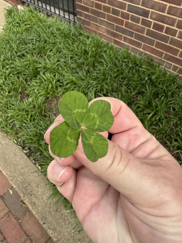 126/365 - lucky