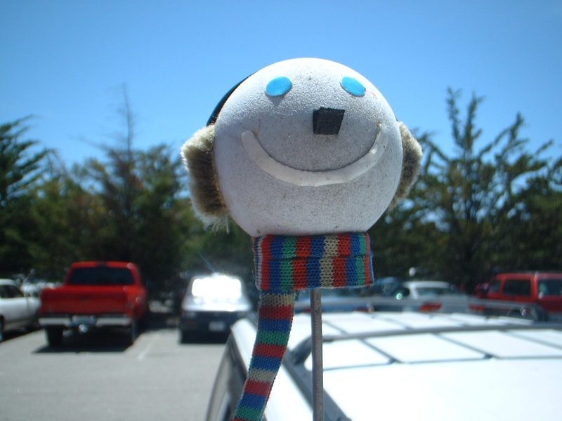 161/365 - antennas