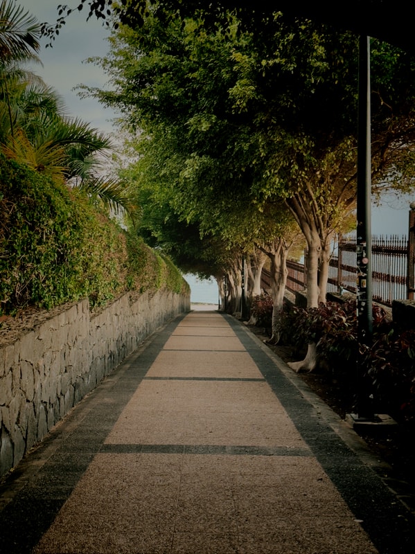 92/365 - Pathway to the beach. Pity noone was at the bottom...