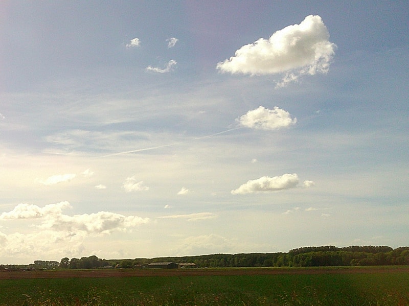 Smiling clouds