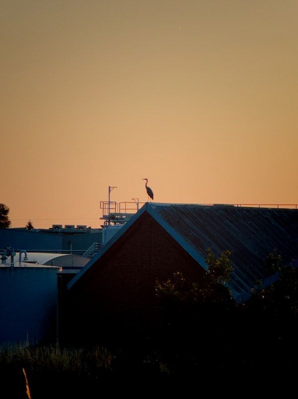 📷 149/365 - Supervisor