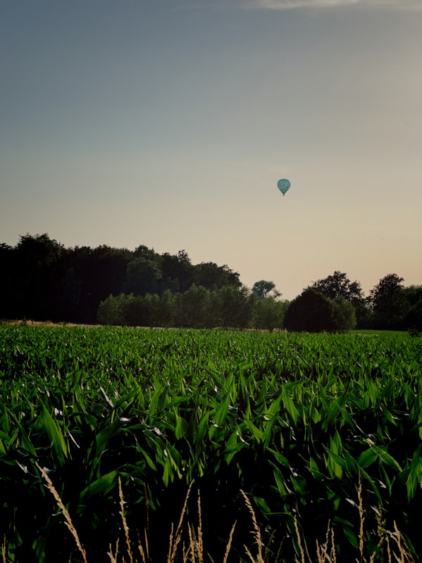 📷 148/365 - Must have been a nice view.